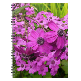Cuaderno Flores moradas de San Francisco