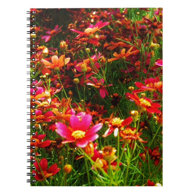 Cuaderno Flores negras rosadas y amarillas Daisy Wild (Frente)