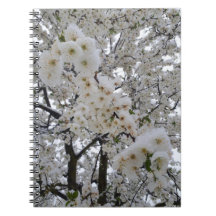 Flores nevadas