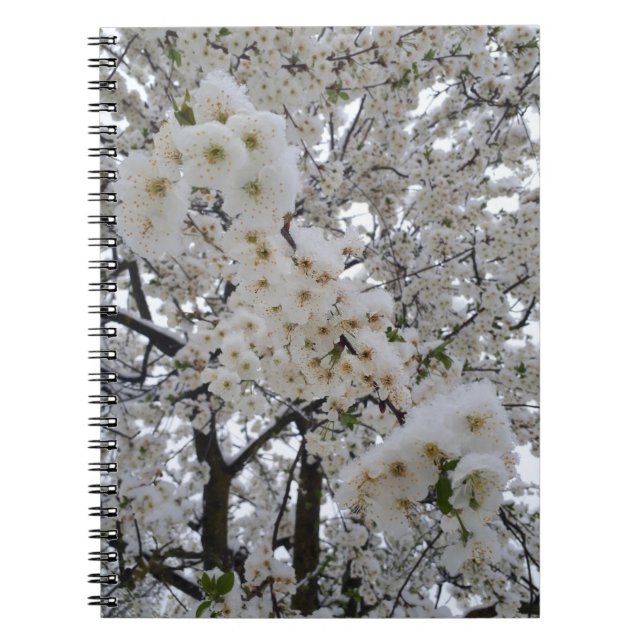 Cuaderno Flores nevadas (Frente)