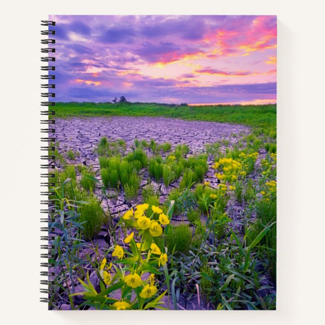 Cuaderno Flores | North Dakota Red River Valley (Anverso)