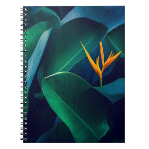 Cuaderno Flores Pájaro del paraíso