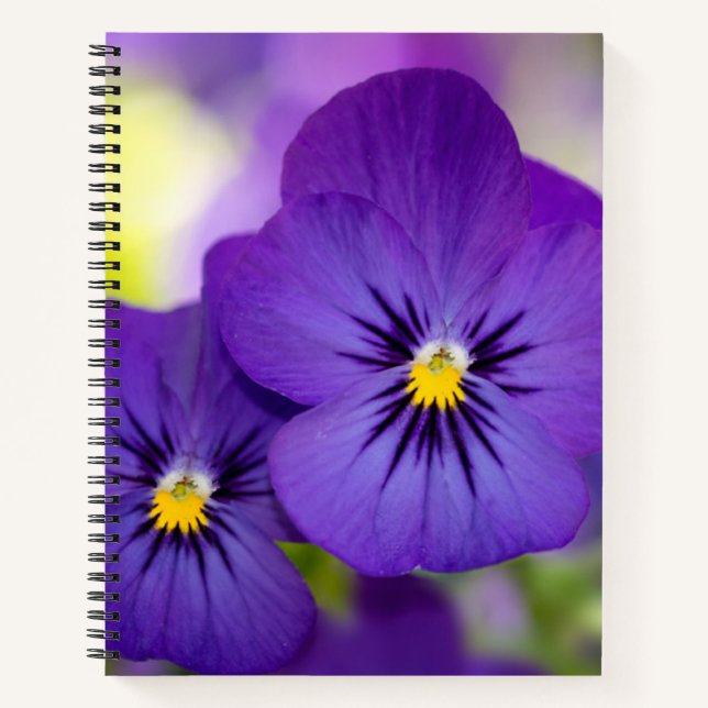 Cuaderno Flores | Pansies morados (Anverso)