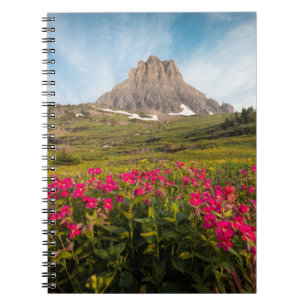 Cuaderno Flores   Parque nacional Glaciar de Montana
