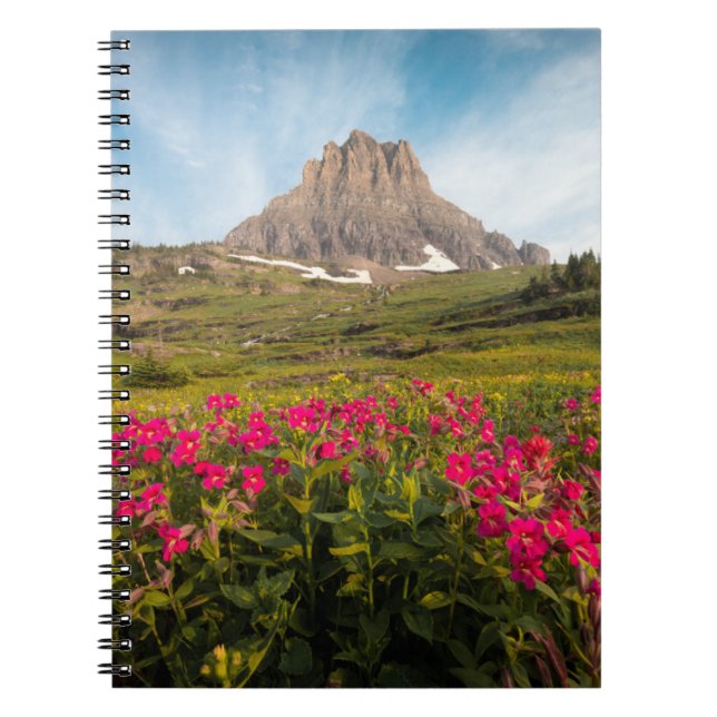 Cuaderno Flores | Parque nacional Glaciar de Montana (Frente)
