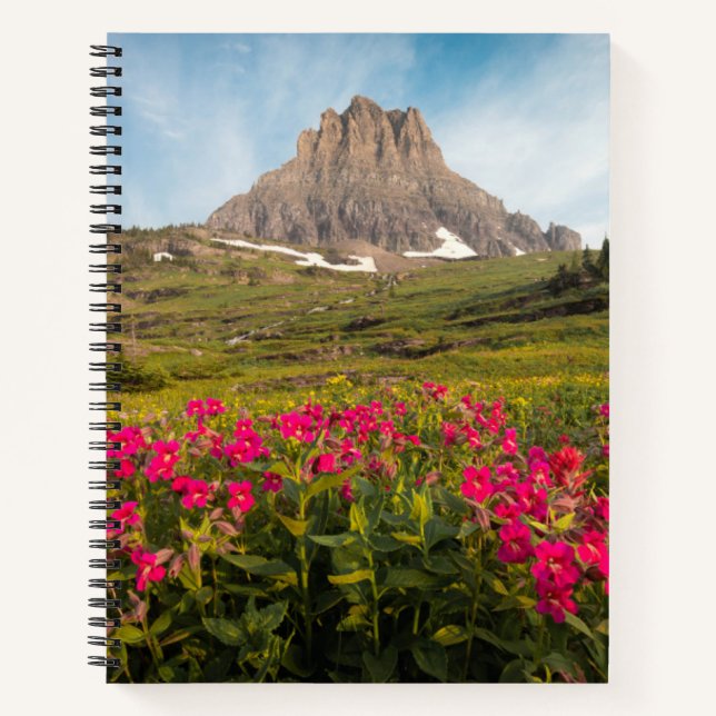 Cuaderno Flores | Parque nacional Glaciar de Montana (Anverso)