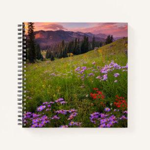 Cuaderno Flores   Púrpura Flores silvestres Colorado
