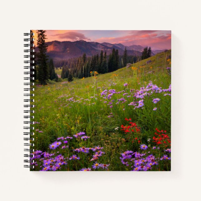 Cuaderno Flores | Púrpura Flores silvestres Colorado (Anverso)