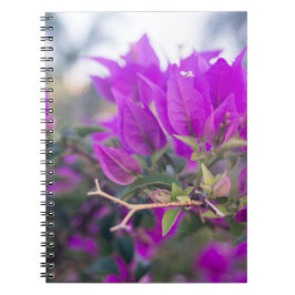 Cuaderno Flores púrpuras de buganvilla