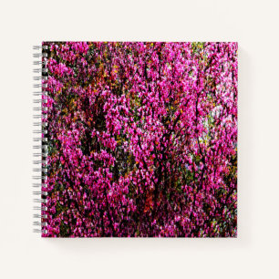 Cuaderno Flores rojas.........
