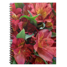 Cuaderno Flores rojas