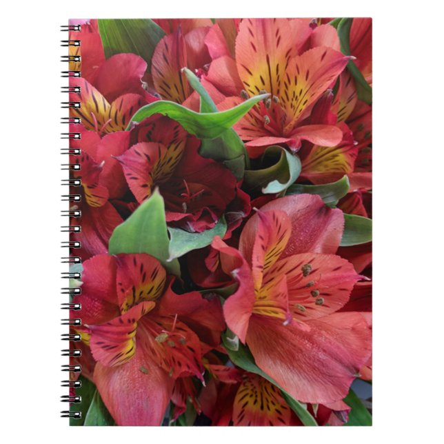 Cuaderno Flores rojas (Frente)