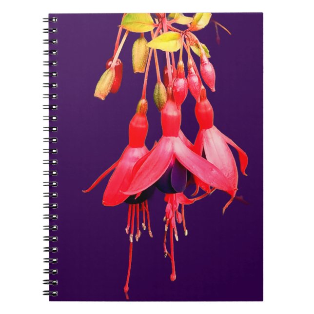 Cuaderno Flores rojas y violetas (Frente)
