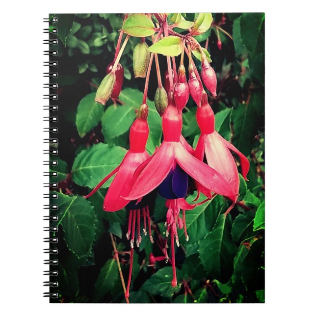 Cuaderno Flores rojas y violetas (Frente)