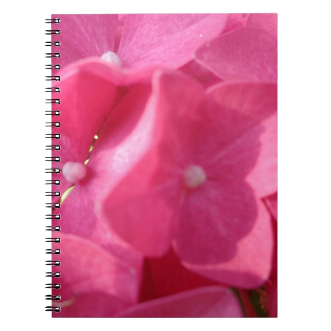 Cuaderno flores rosadas (Frente)