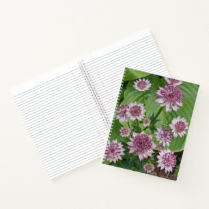 Cuaderno Flores rosadas de Astrantia