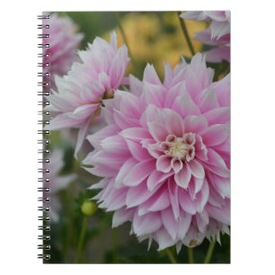 Cuaderno Flores rosadas de Dahlia en RHS Garden Wisley