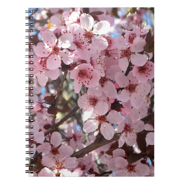 Cuaderno Flores rosas en el árbol floreciente ornamental (Frente)