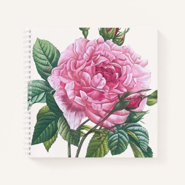 Cuaderno Flores rosas rosas con hojas verdes (Anverso)