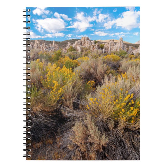 Cuaderno Flores | Sagebrush California en flor (Frente)