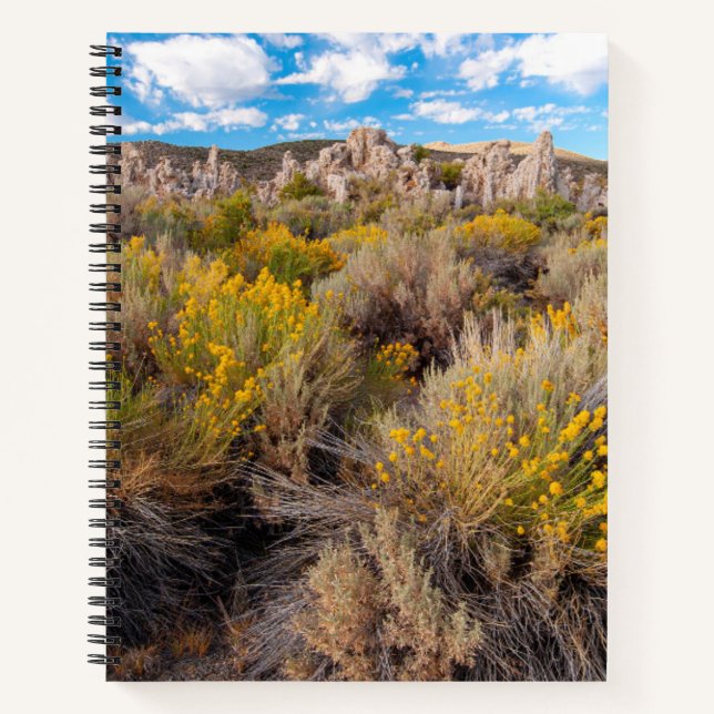 Cuaderno Flores | Sagebrush California en flor (Anverso)
