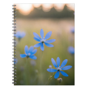 Cuaderno Flores salvajes azules en la pradera