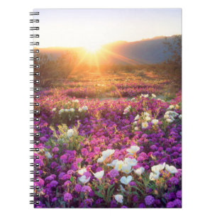 Cuaderno Flores silvestres al atardecer Desierto de Anza-
