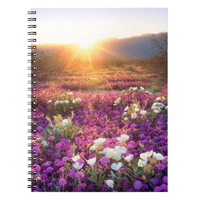 Cuaderno Flores silvestres al atardecer | Desierto de Anza- (Frente)