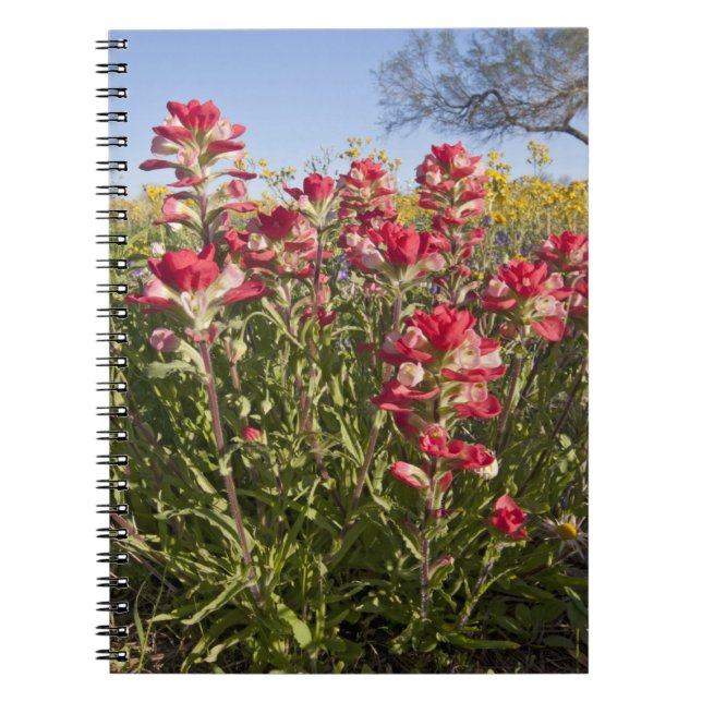 Cuaderno Flores silvestres al borde de la carretera en Texa (Frente)