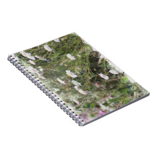 Cuaderno Flores Silvestres Almohadilla Blanca Acuarela Digi
