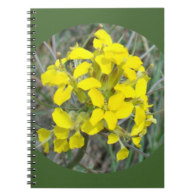 Cuaderno Flores silvestres amarillas F33w (Frente)