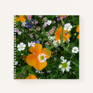 Cuaderno Flores silvestres: Bloc de notas rosa blanco naran