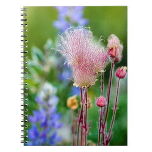 Cuaderno Flores silvestres de humo de pradera en arboleda d