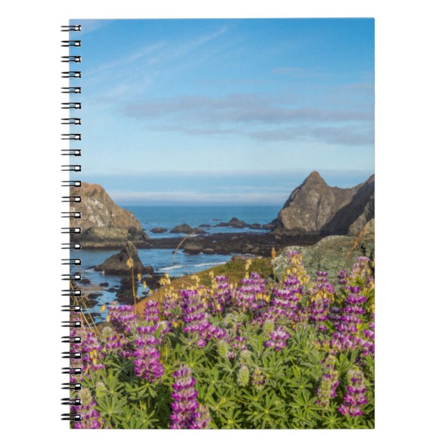 Cuaderno Flores silvestres de lupino cubren las colinas (Frente)