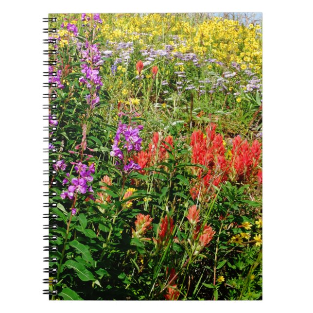 Cuaderno Flores silvestres de Montaña Rocosa (Frente)