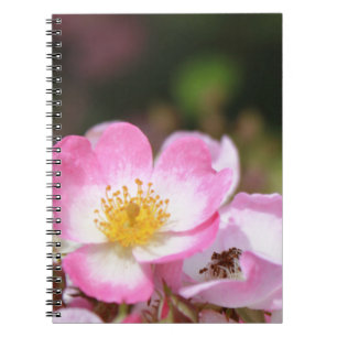 Cuaderno flores silvestres de rosa rosa bonitas para damas