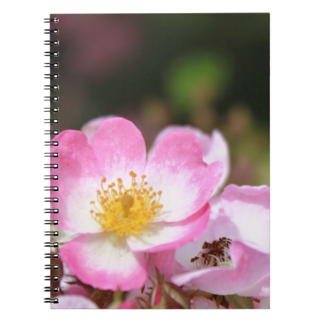 Cuaderno flores silvestres de rosa rosa bonitas para damas (Frente)