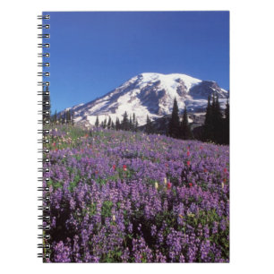 Cuaderno flores silvestres de verano al pie del Monte Raini