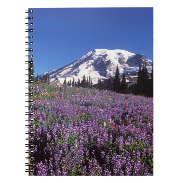 Cuaderno flores silvestres de verano al pie del Monte Raini (Frente)