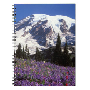 Cuaderno flores silvestres de verano al pie del Monte Raini