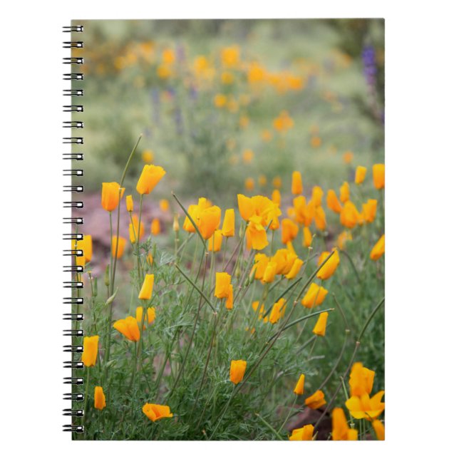 Cuaderno flores silvestres hermosas y aromáticas que crecen (Frente)