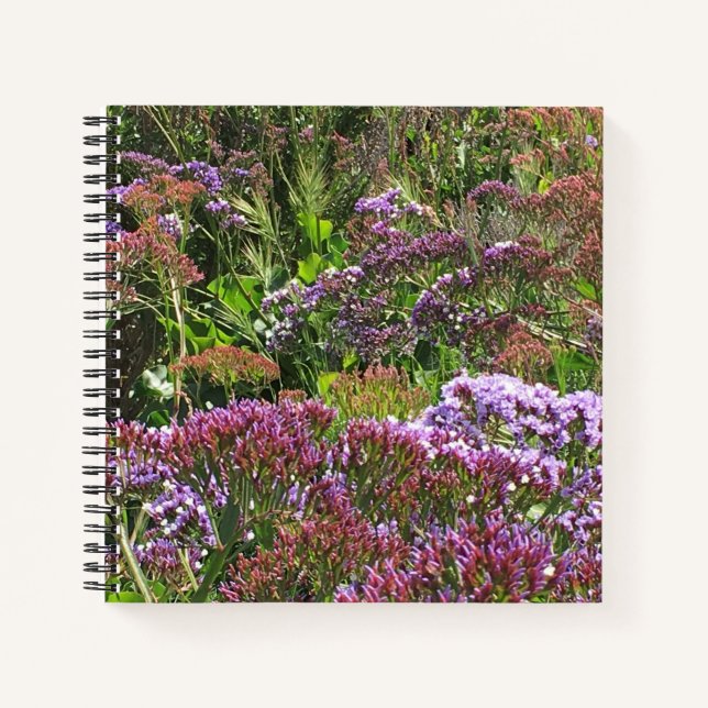 Cuaderno Flores silvestres, La Jolla Cove, California (Anverso)