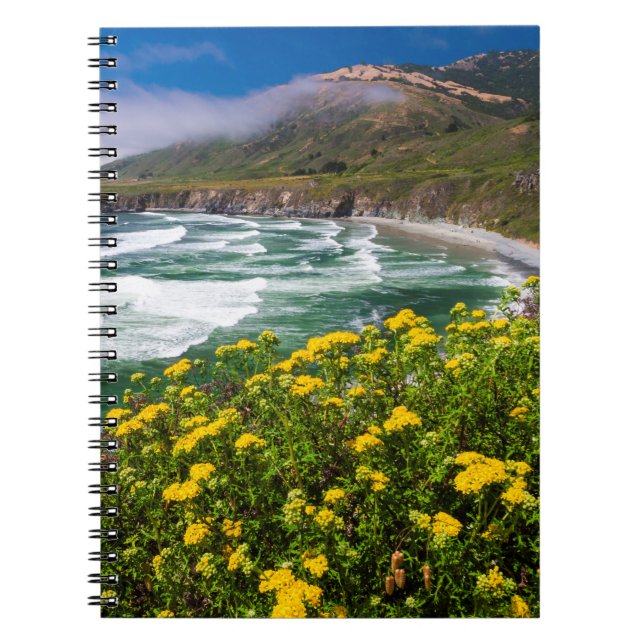 Cuaderno Flores sobre la playa Sand Dollar (Frente)