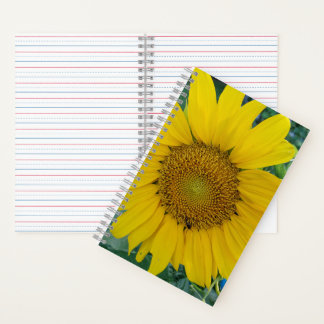 Cuaderno Flores soleadas - Portátil fotográfico girasol