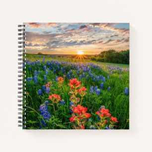 Cuaderno Flores   Texas Bluebonnets y pincel indio