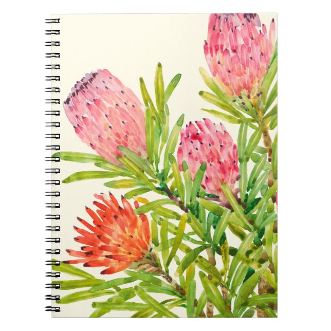 Cuaderno Flores tropicales acuarelas (Frente)