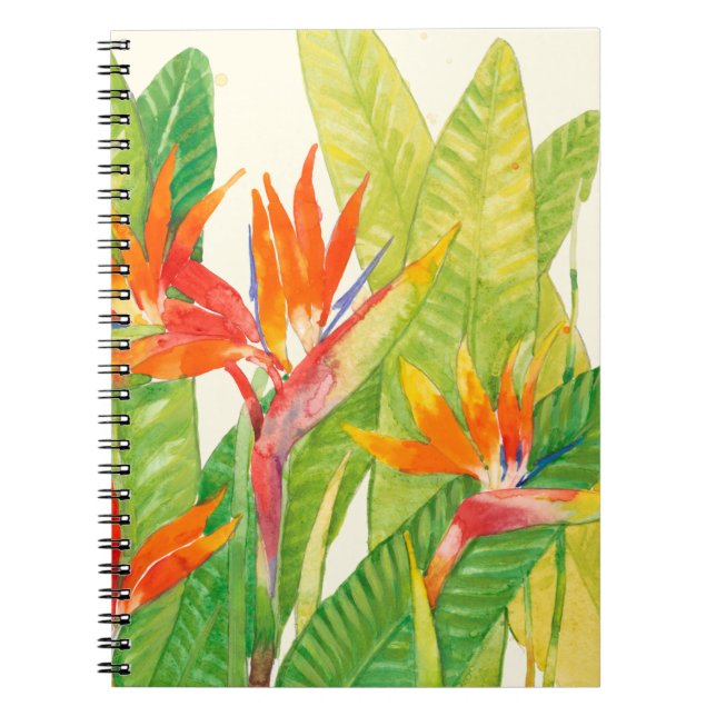 Cuaderno Flores tropicales | Pájaro del paraíso (Frente)