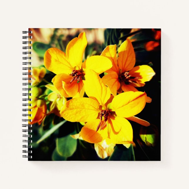 Cuaderno Flores vibrantes (Anverso)