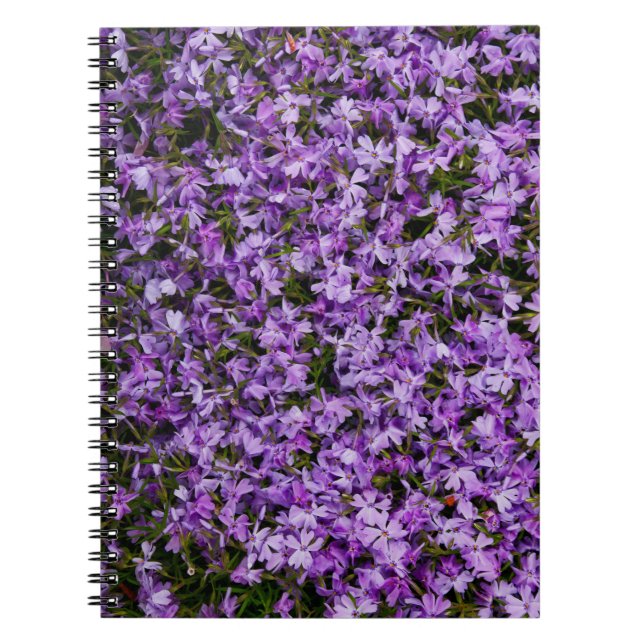 Cuaderno Flores Vibrantes de Phlox de Primavera – Fotografí (Frente)