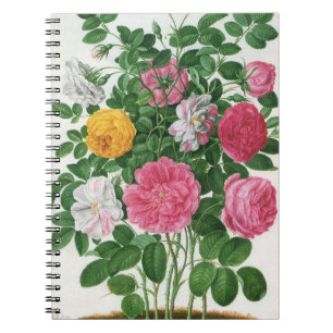Cuaderno Flores Vintage en Flor, Rosas de Jardín de Primave